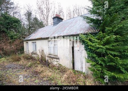 Ancien cottage irlandais abandonné avec un toit en étain ondulé, qui aurait été à l'origine chaume, Irlande du Nord Banque D'Images