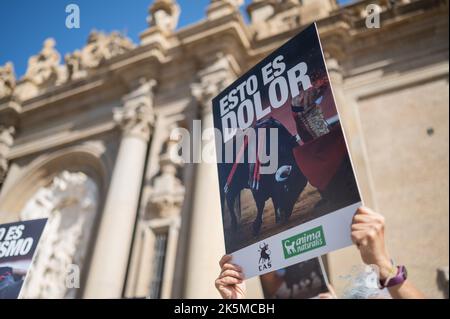 Manifestation contre les corridas organisées par AnimaNaturalis sur la Plaza del Pilar lors de la Fiestas annuelle de Pilar, Saragosse, Espagne Banque D'Images