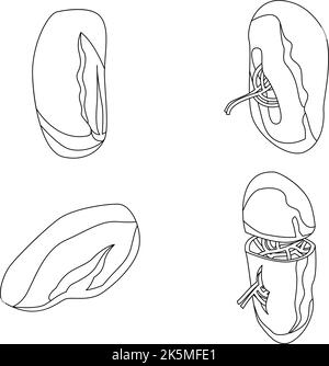 Ensemble d'icônes de la rate. L'ensemble isométrique d'icônes de vecteur splénique décrit le lne mince isolé sur blanc Illustration de Vecteur