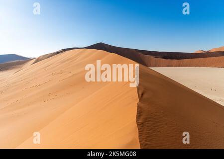 Lever de soleil sur les courbes, les lignes et les ombres des dunes de sable rouge du désert du Namib, Namibie. Banque D'Images