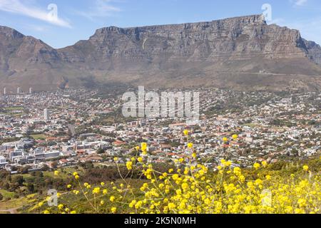 Table Mountain prise au printemps, début Ocober 2022. Banque D'Images