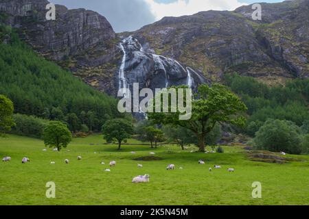 Irlande, Kenmare - 19 05 2022: Le parc Gleninchaquin est un parc et une ferme appartenant à la famille. La chute d'eau avec une hauteur de 685 mètres est vraiment impressionnante Banque D'Images