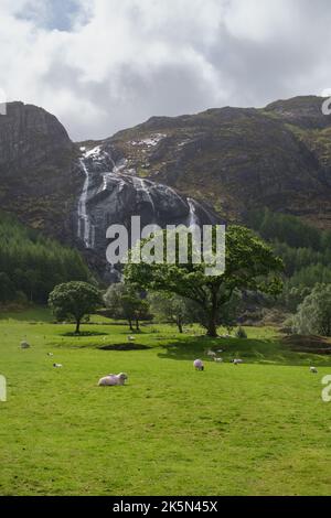 Irlande, Kenmare - 19 05 2022: Le parc Gleninchaquin est un parc et une ferme appartenant à la famille. La chute d'eau avec une hauteur de 685 mètres est vraiment impressionnante Banque D'Images