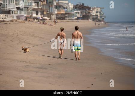 Couple marchant leur chien le long de la côte Banque D'Images