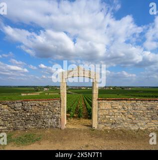 Porte en pierre d'un vignoble sur la Côte de Beaune, Bourgogne, France. Banque D'Images