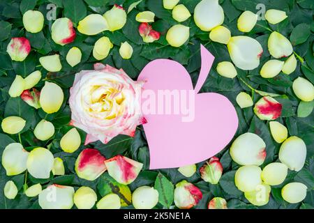 Concept de mise en page créative avec fleur de rose et carte en papier qui ressemble à une feuille en forme de coeur entourée de feuilles Banque D'Images