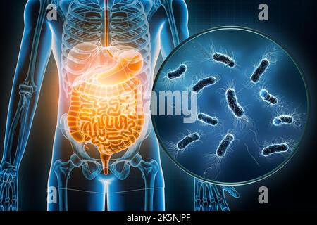 Infection bactérienne du tractus gastro-intestinal 3D illustration du rendu. Escherichia coli ou E. coli maladies infectieuses, anatomie, médecine, biologie Banque D'Images