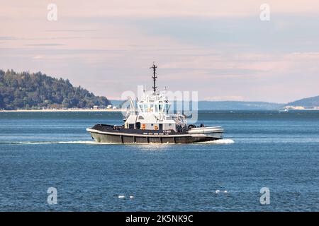 Everett, Australie occidentale. États-Unis - 08-29-2022: Remorqueur YT-803 dans le port d'Everett Puget Sound Waters Banque D'Images