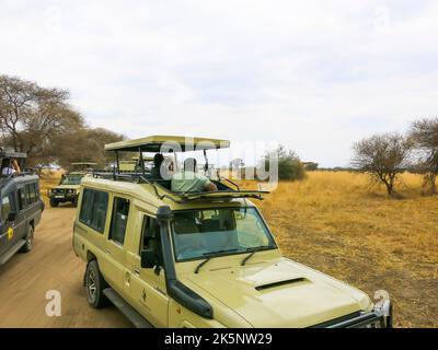 Les véhicules Safari sont positionnés pour offrir une meilleure visibilité de l'animal sauvage Banque D'Images