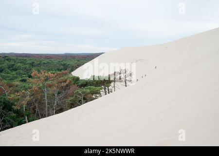 Belle dune à Pilat, France. Des personnes méconnaissables à l'arrière-plan qui se sont fait monter la pente Banque D'Images