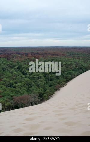 Belle dune de sable à Pilat, France. Forêt verte près du sable Banque D'Images