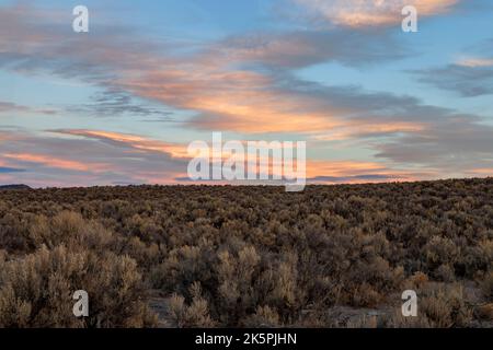 Ciel du matin et sagebrush du désert au Bitner Ranch dans le nord-ouest du Nevada. Banque D'Images