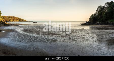 Salcombe North Bay, Sandy Beach, tidal Bay, marcher le chien, l'une des zones les plus recherchées et les plus chères du Royaume-Uni une deuxième maison macca. Automne, automne, Banque D'Images