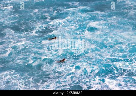 Deux surfeurs non identifiables qui reviennent sur la côte après avoir surfeur. Banque D'Images