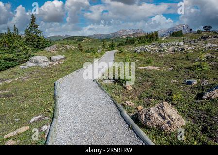 Sunshine Village (Alberta), 7 août 2022 : sentier de randonnée de Standish dans le Sunshine Meadows de Sunshine Village (Alberta) Banque D'Images