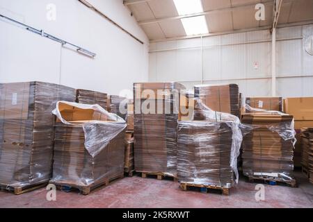 Grand entrepôt de détail avec des marchandises dans des boîtes en carton et des emballages. Une installation de logistique, de tri et de distribution pour plus de livraison de produits. Vue avant Banque D'Images