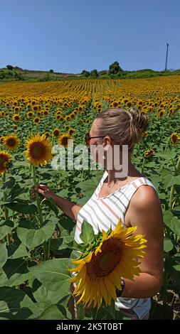 Jeune femme dans un champ de tournesols Banque D'Images