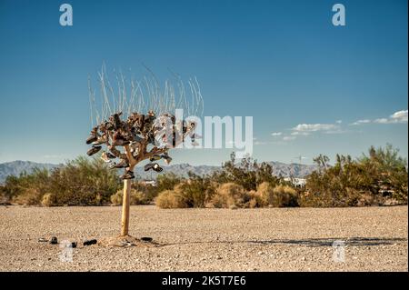 Le Sole Tree de Slab City, qui est une communauté alternative de style de vie dans le désert de Sonoran en Californie. Banque D'Images