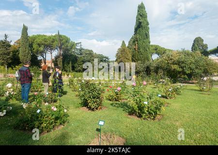 Rome, Italie - octobre 2022 - Roseto Comunale, la roseraie municipale, l'un des jardins les plus romantiques de Rome, sur la colline de l'Aventin Banque D'Images