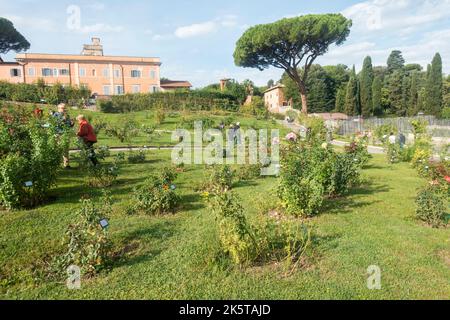 Rome, Italie - octobre 2022 - Roseto Comunale, la roseraie municipale, l'un des jardins les plus romantiques de Rome, sur la colline de l'Aventin Banque D'Images