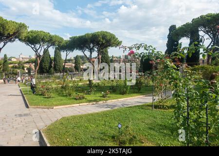 Rome, Italie - octobre 2022 - Roseto Comunale, la roseraie municipale, l'un des jardins les plus romantiques de Rome, sur la colline de l'Aventin Banque D'Images