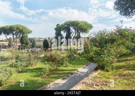 Rome, Italie - octobre 2022 - Roseto Comunale, la roseraie municipale, l'un des jardins les plus romantiques de Rome, sur la colline de l'Aventin Banque D'Images