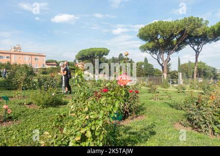 Rome, Italie - octobre 2022 - Roseto Comunale, la roseraie municipale, l'un des jardins les plus romantiques de Rome, sur la colline de l'Aventin Banque D'Images