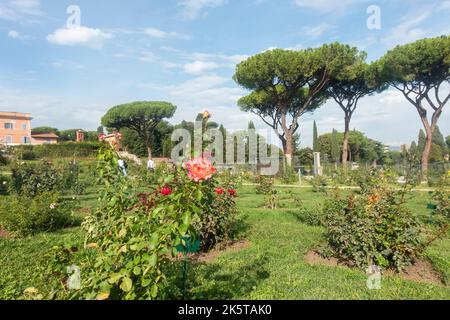 Rome, Italie - octobre 2022 - Roseto Comunale, la roseraie municipale, l'un des jardins les plus romantiques de Rome, sur la colline de l'Aventin Banque D'Images