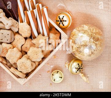 Boîte de Noël en forme de chien dans un cadre de fête rustique avec cloches de jingle Banque D'Images