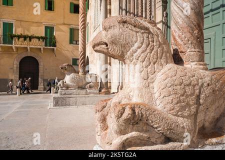 Vérone Italie Piazza Duomo, vue sur une paire de griffins de marbre du 12th siècle dans la Piazza Duomo qui gardait l'entrée ouest de la cathédrale de la ville, Vérone Banque D'Images