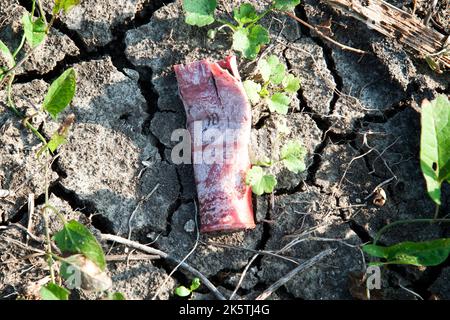 Cartouches de chasse abandonnées sur un terrain après l'expédition de chasse, dans le sud de l'Italie. Banque D'Images