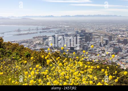 Cape Town Spring, début Ocober 2022. Banque D'Images