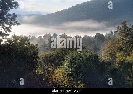 Chester, Vermont, États-Unis. Le brouillard et la brume s'accrochent aux vallées des montagnes dans les montagnes vertes du Vermont en début de matinée. Banque D'Images