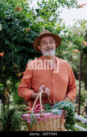 Homme heureux de récolter des légumes de son jardin. Banque D'Images