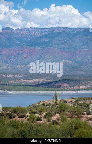 Vue sur une vallée dans la forêt nationale de Tonto, Arizona Banque D'Images