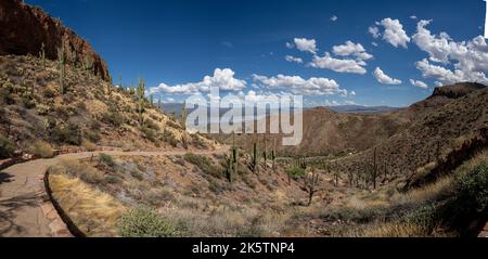 Vue panoramique sur un sentier de randonnée dans une vallée de la forêt nationale de Tonto, Arizona Banque D'Images