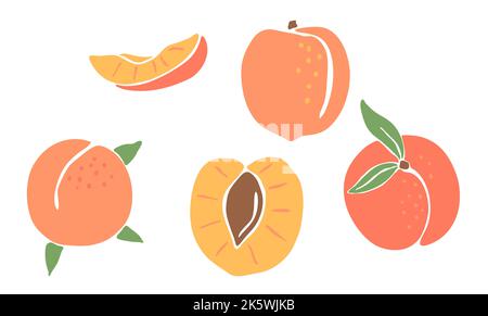 Motif sans coutures et pêches colorées. Fruits et feuilles décoratifs. Illustration de Vecteur