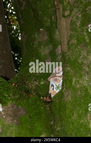 Maisons de fées dans un bois sombre. Banque D'Images