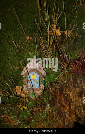 Maisons de fées dans un bois sombre. Banque D'Images