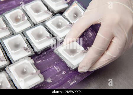 Scientifique préparant des blocs de paraffine contenant des tissus de biopsie pour la coupe. Laboratoire de pathologie. Diagnostic du cancer. Banque D'Images