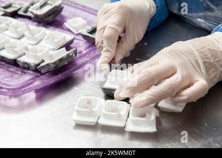 Scientifique préparant des blocs de paraffine contenant des tissus de biopsie pour la coupe. Laboratoire de pathologie. Diagnostic du cancer. Banque D'Images