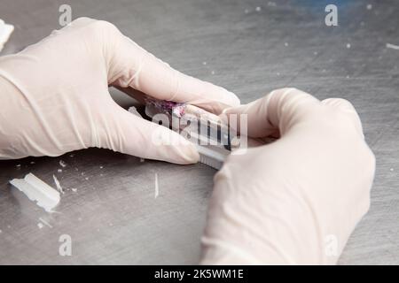 Scientifique préparant des blocs de paraffine contenant des tissus de biopsie pour la coupe. Laboratoire de pathologie. Diagnostic du cancer. Banque D'Images