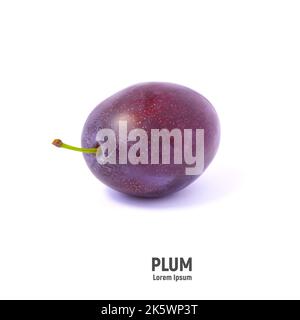 Prune mûre juteuse isolée sur fond blanc. Gros plan Banque D'Images