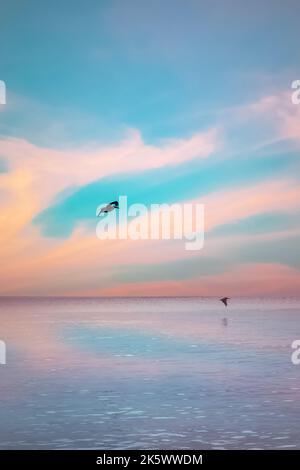 Pélicans volant au-dessus de la mer à Tobago Caraïbes nature ciel Banque D'Images