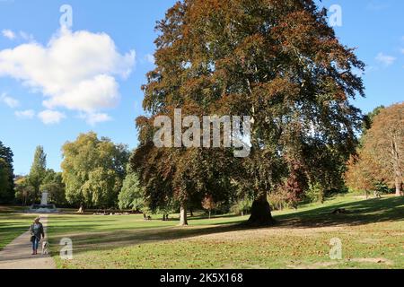 Ipswich, Suffolk, Royaume-Uni - 10 octobre 2022 : après-midi d'automne dans la ville. Couleurs d'automne dans le parc de Christchurch. Banque D'Images