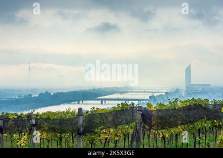 Vienne, Vienne : brouillard matinal au-dessus de Vienne, vignobles, rivière Donau (Danube), tour Donauturm, DC Tour 1, Millennium Tower, vue depuis la colline de Nußberg en 00. o Banque D'Images