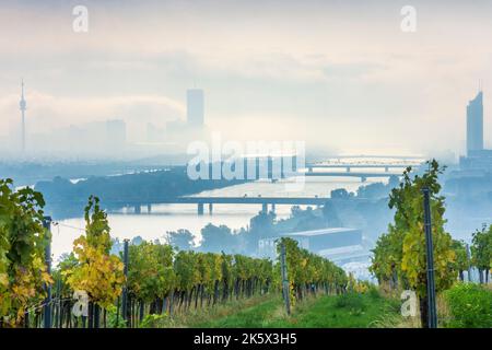 Vienne, Vienne : brouillard matinal au-dessus de Vienne, vignobles, rivière Donau (Danube), tour Donauturm, DC Tour 1, Millennium Tower, vue depuis la colline de Nußberg en 00. o Banque D'Images