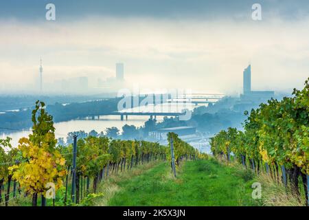 Vienne, Vienne : brouillard matinal au-dessus de Vienne, vignobles, rivière Donau (Danube), tour Donauturm, DC Tour 1, Millennium Tower, vue depuis la colline de Nußberg en 00. o Banque D'Images