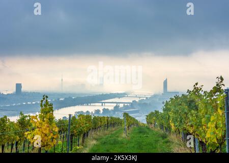 Vienne, Vienne : brouillard matinal au-dessus de Vienne, vignobles, rivière Donau (Danube), tour Donauturm, DC Tour 1, Millennium Tower, vue depuis la colline de Nußberg en 00. o Banque D'Images