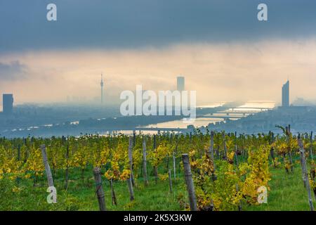 Vienne, Vienne : brouillard matinal au-dessus de Vienne, vignobles, rivière Donau (Danube), tour Donauturm, DC Tour 1, Millennium Tower, vue depuis la colline de Nußberg en 00. o Banque D'Images